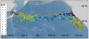 The TRCC team has mapped the migrations of hundreds of Pacific bluefin tuna.
